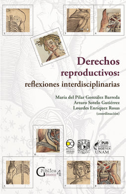 Derechos reproductivos: reflexiones interdisciplinarias - María del Pilar González Barreda, Arturo Sotelo Gutiérrez, Lourdes Enríquez Rosas
