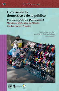La crisis de lo doméstico y de lo público en tiempos de pandemia: miradas sobre Ciudad de México, Ciudad Juárez y Nogales - Patricia Ramírez Kuri; Yutzil Tania Cadena Pedraza