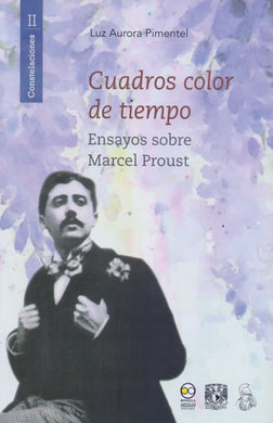 Cuadros color de tiempo: Ensayos sobre Marcel Proust - Pimentel, Luz Aurora