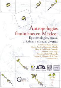 Antropologías feministas en México: Epistemologías, éticas, prácticas y miradas diversas.-Berrio, Castañeda, Goldsmith, Ruiz, Salas y Valladares